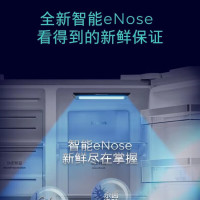 西门子637升大容量对开门精控恒鲜家用变频电冰箱 智能eNose杀菌净味 玻璃面板 支持国家补贴 KA99VA450C