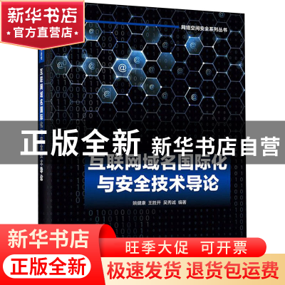 正版 互联网域名国际化与安全技术导论 编者:姚健康//王胜开//吴