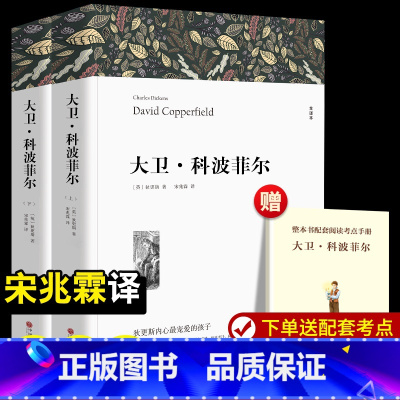 大卫科波菲尔 完整版 [正版] 大卫·科波菲尔 上下册 中文版 狄更斯著宋兆霖译 大卫科波菲尔高中生名著书籍大卫科波菲尔