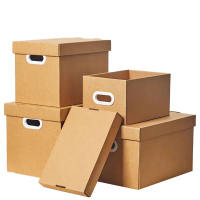 菲尔阿扎 PHIL ARZA 纸箱 19L/捆