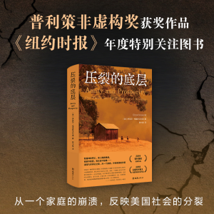 醉染图书压裂的底层9787549636693