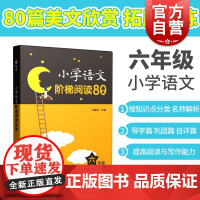 小学语文阶梯阅读80篇 六年级6年级上下 含答案 小学语文课外拓展阅读训练 王雅琴 上海教育出版社 世纪出版