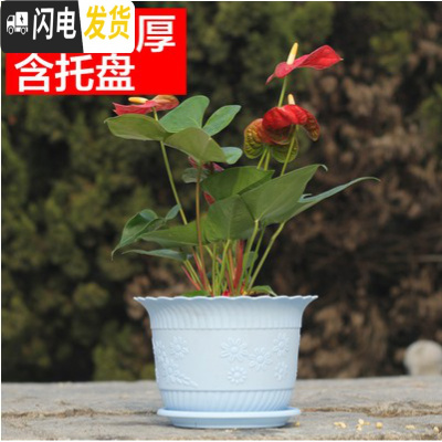 三维工匠波浪花边莲花盆塑料树脂仿陶型大花盆多肉绿萝花盆可水培送托盘 蓝色[开孔留言] 中号[口径19cm]10个花盆容器