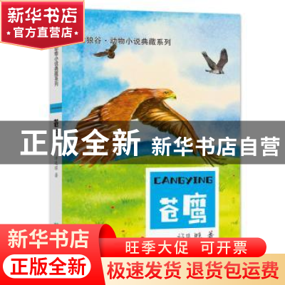 正版 苍鹰 许廷旺 希望出版社 9787537982559 书籍