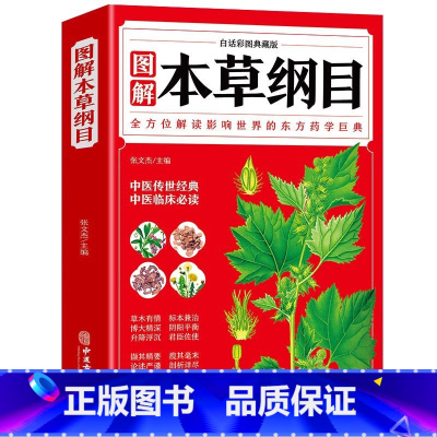 本草纲目 [正版]抖音同款餐桌上的中药中医五大名著黄帝内经原版本草纲目李时珍土单方书百病食疗大全张至顺道长餐桌上的中药