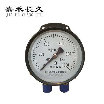 嘉禾长久 双针压力表 YZS-102 1.0级 台