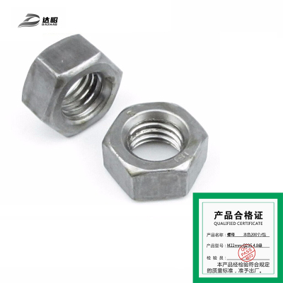 达昭 螺母 本色200个 M22mm Q235 4.8级