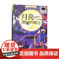长青藤国际大奖小说书系 第十八辑 月亮照耀的地方 安德烈·普兰 著 儿童文学