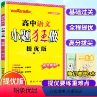 提优版·语文 高一下 [正版]新版恩波教育高中语文小题狂做提优版高一下册 阅读理解组合提优现代文古代诗歌文言文专项阅读训