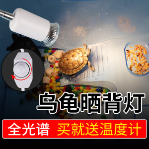 乌龟晒背灯全光谱uvb太阳灯补钙加热灯爬宠鳄陆龟温控灯 灯泡