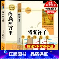 [人教版]骆驼祥子+海底两万里 [正版]骆驼祥子原著老舍著人民教育出版社初中生人教版名著阅读七年级下册初一语文书课外阅读