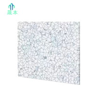 晟本+防静电板+600*600*40mm+块