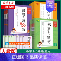 作文素材 四年级上 [正版]2024/25适用 53小学基础练人教版 一二三年级积累与默写上下册句式训练大全阅读真题60
