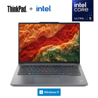 ThinkPad E14 19CD AI经典商务本 14英寸笔记本电脑 英特尔酷睿Ultra 5 125H 32G 1T固态 锐炫Arc显卡 2.2K高色域 银