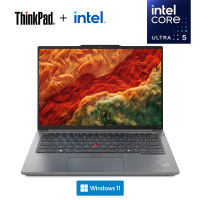 ThinkPad E14 19CD AI经典商务本 14英寸笔记本电脑 英特尔酷睿Ultra 5 125H 32G 1T固态 锐炫Arc显卡 2.2K高色域 银
