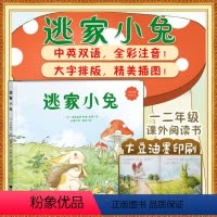 逃家小兔中英双语(全彩注音版) [正版]丨逃家小兔 中英双语 全彩注音精美插图 亲子阅读书 3-9岁童书绘本图画书少儿