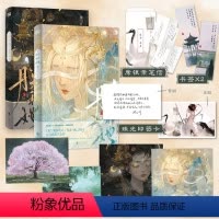 [正版]赠席银亲笔信+书签*2+珠光印签卡+明信片*2+封面海报*2朕和她套装 她与灯 著 晋江高人气作者 东厂观察