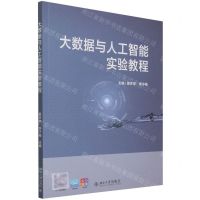 [N]大数据与人工智能实验教程-9787301328910
