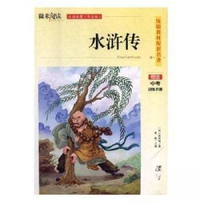 正版新书]微米阅读--水浒传(应读名著 学生版)黄梅 主编9787558
