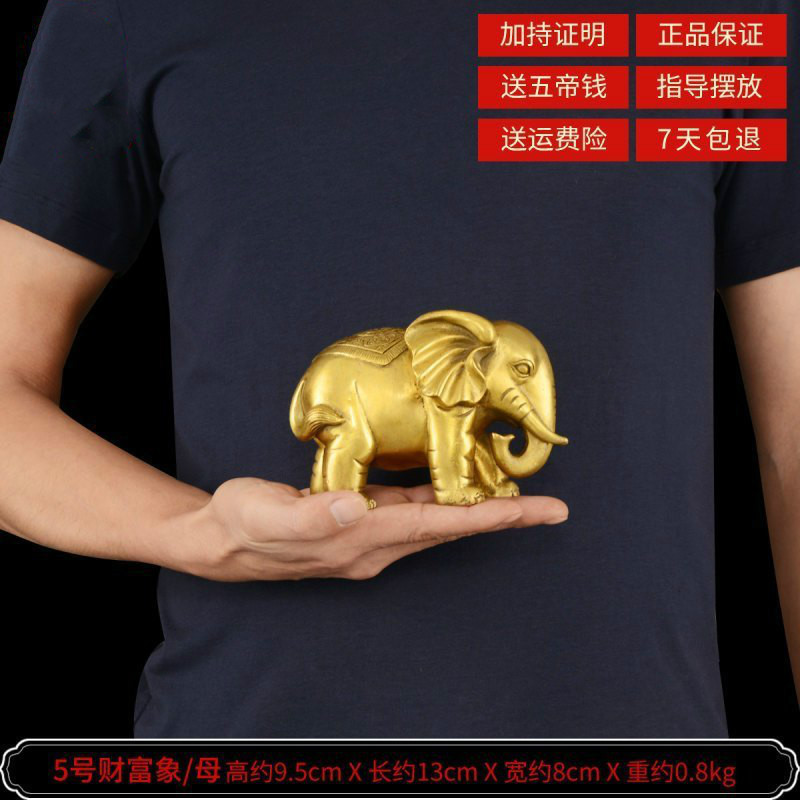 美帮汇铜大象摆件象一对吸水象客厅装饰品大号 5号财富象卷鼻