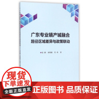 广东专业镇产城融合路径区域差异与政策联动