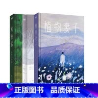 [正版]2024诺贝尔文学奖得主韩江作品集3册套装 白+素食者+植物妻子 外国现当代文学小说书籍 图书 书籍