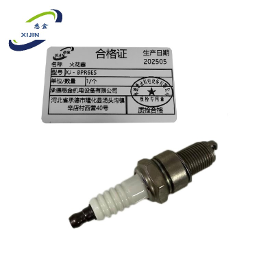 悉金 火花塞 XJ - BPR6ES 个