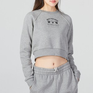 安德玛UA女装新款短款时尚卫衣长袖T恤套头衫跑步运动服 1373600-294 ZP