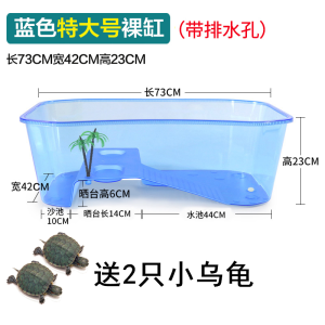 乌龟缸小养龟盆 大号带晒台鱼缸水陆缸乌龟塑料乌龟饲养盒箱