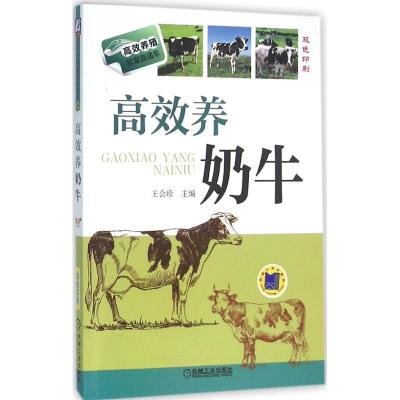 正版新书]高效养奶牛王会珍9787111527879