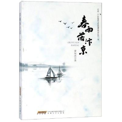正版新书]春雨落汴京梁宛央9787539663708