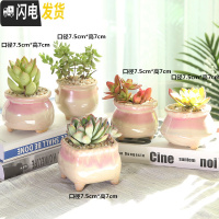 三维工匠多肉花盆陶瓷带托盘粗陶复古素烧紫砂家用创意大小简约 粉色少女心多肉花盆5件 小花盆容器