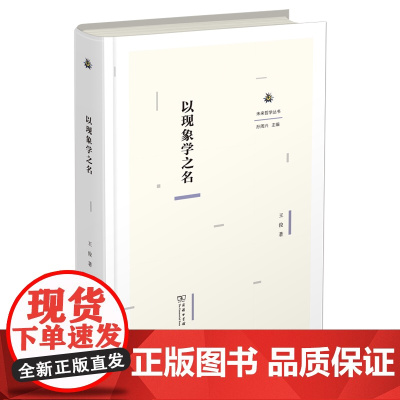以现象学之名 未来哲学丛书 王俊 著 商务印书馆