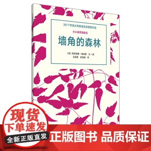 墙角的森林
