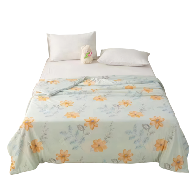 三水依梦 凉感丝夏被 200*230cm 条