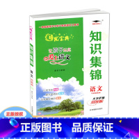 语文 小学升初中 [正版]2024版 培优宝典 知识集锦 语文 小学1-6年级语文知识大全基础知识小升初语文总复习辅导工