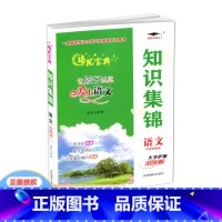 语文 小学升初中 [正版]2024版 培优宝典 知识集锦 语文 小学1-6年级语文知识大全基础知识小升初语文总复习辅导工