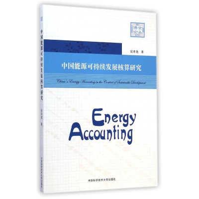 正版新书]中国能源可持续发展核算研究/博士论丛吴开尧 著978731