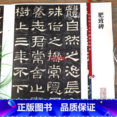 肥致碑 [正版]肥致碑彩色放大本中国著名碑帖繁体旁注孙宝文隶书毛笔字帖书法成人学生临摹古帖墨迹拓本鉴赏籍 上海辞书出版社