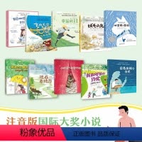 全10册 第一辑+第二辑 [正版]新东方小书虫国际大奖小说第1第2辑 美绘注音版 纽伯瑞安徒生儿童文学奖作品幼小衔接读物