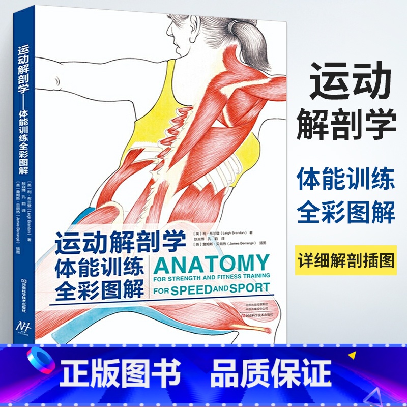 [正版]运动解剖学图谱体能训练全彩图解 运动解刨学健身教练书籍拉伸力量体能训练体能功能性训练肌肉健美健身书大全周期训练