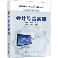 会计综合实训(罗佛如)