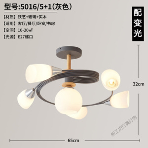 苏宁放心购 北欧灯具餐厅创意风格个性客厅房间吊灯现代简约儿童马卡龙卧室灯