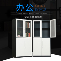 豫亿腾窄边套色钢制加厚办公文件柜铁皮柜财务凭证资料柜档案柜玻璃储物书柜带锁抽屉可定制窄边等体器械柜