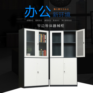 豫亿腾窄边套色钢制加厚办公文件柜铁皮柜财务凭证资料柜档案柜玻璃储物书柜带锁抽屉可定制窄边等体器械柜 0.8mm窄边等体器械柜