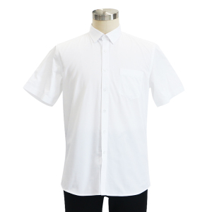 燕舞BD2AX722105Z2F男短袖衬衫38-45码(计价单位:件)白色 白色 38-45码