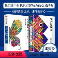 [正版]当下的力量 +当下的力量实践手册 白金版 埃克哈特·托利 出版社 成功励志书籍 出版社