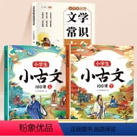 [古文学习]必背文学常识+小古文100课 小学通用 [正版]小学必背文学常识积累大全2024小学生语文基础知识一三二四五