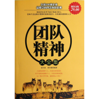 音像团队精神大全集(金版)赵凡禹//裴向敏