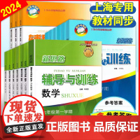 2025新思路辅导与训练六年级上数学七年级八年级下物理九年级化学 6789年级上下册24秋高一高二新思路辅导与训练高中必